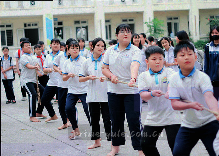对话框界面抽象图，展示客服会话气泡与快捷回复选项